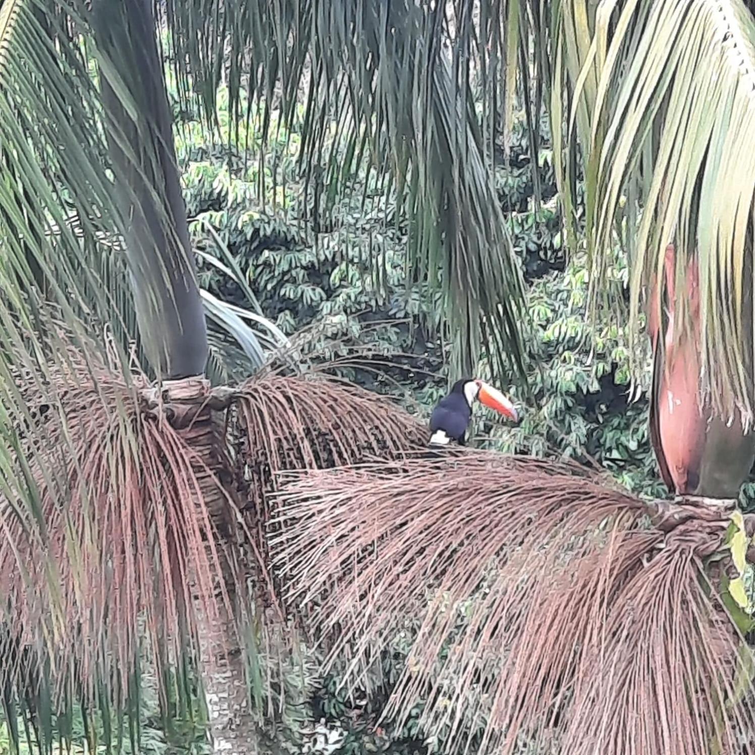 Aconchego No Bairro Mais Charmoso Da Serra. Nova Friburgo Kültér fotó