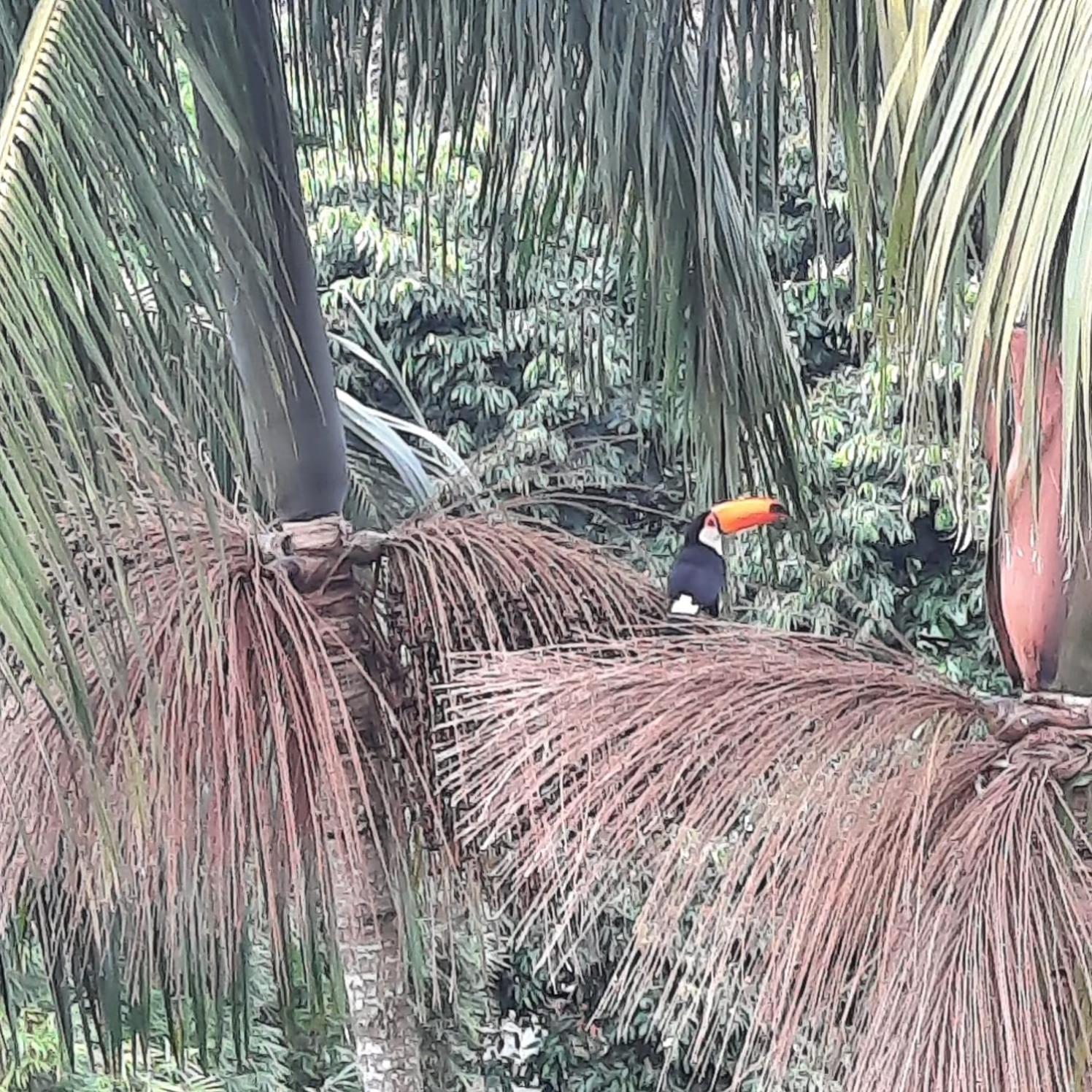 Aconchego No Bairro Mais Charmoso Da Serra. Nova Friburgo Kültér fotó
